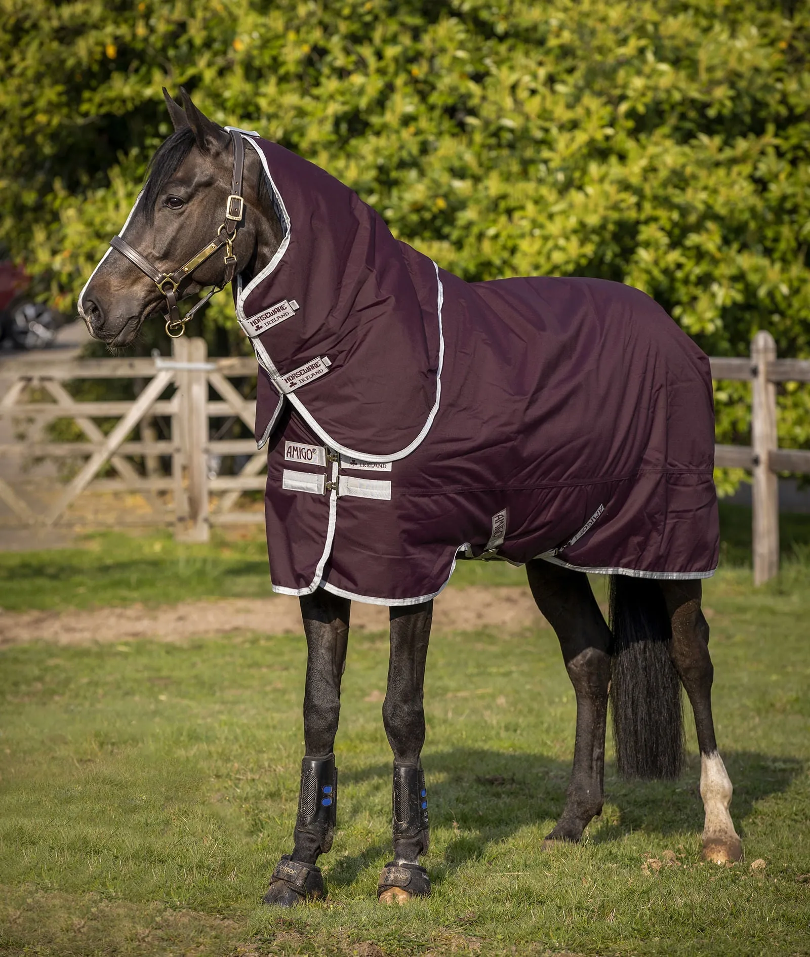 Amigo Hero Ripstop Plus Medium Weight Horse Turnout Blanket