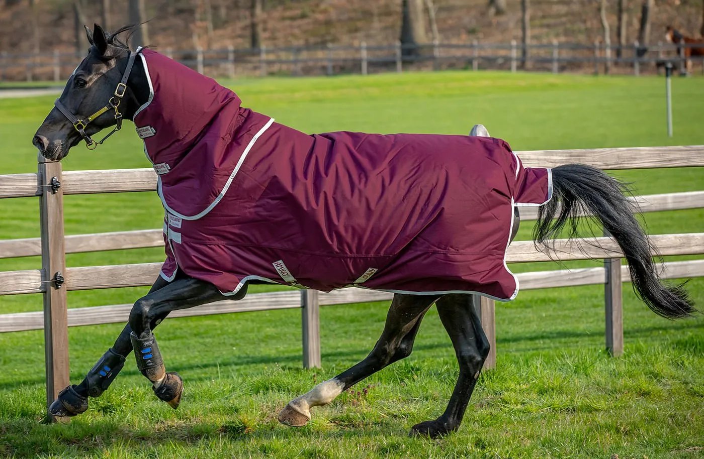 Amigo Hero Ripstop Plus Medium Weight Horse Turnout Blanket