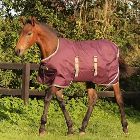 Amigo® Ripstop Foal 200G Medium Turnout Blanket - Fig