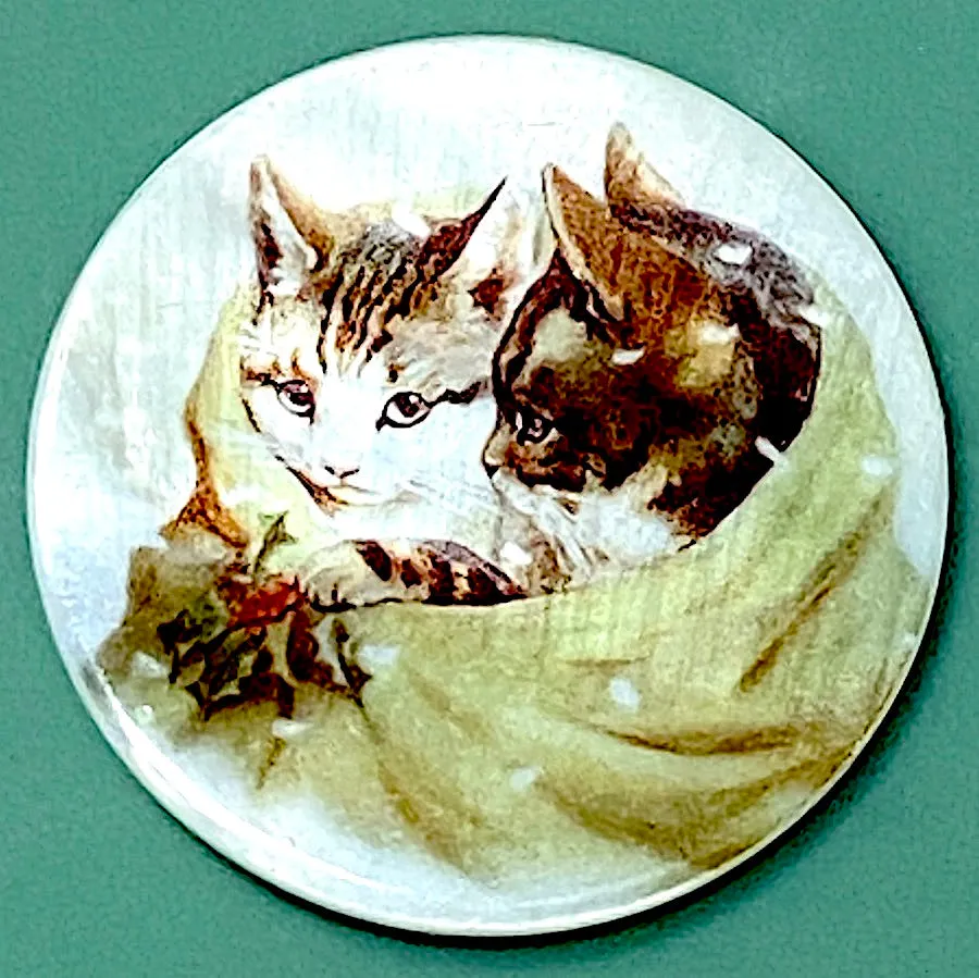 Cats in Blanket Pearl Shell Button 1-3/8"  #SC-1653 Kittens