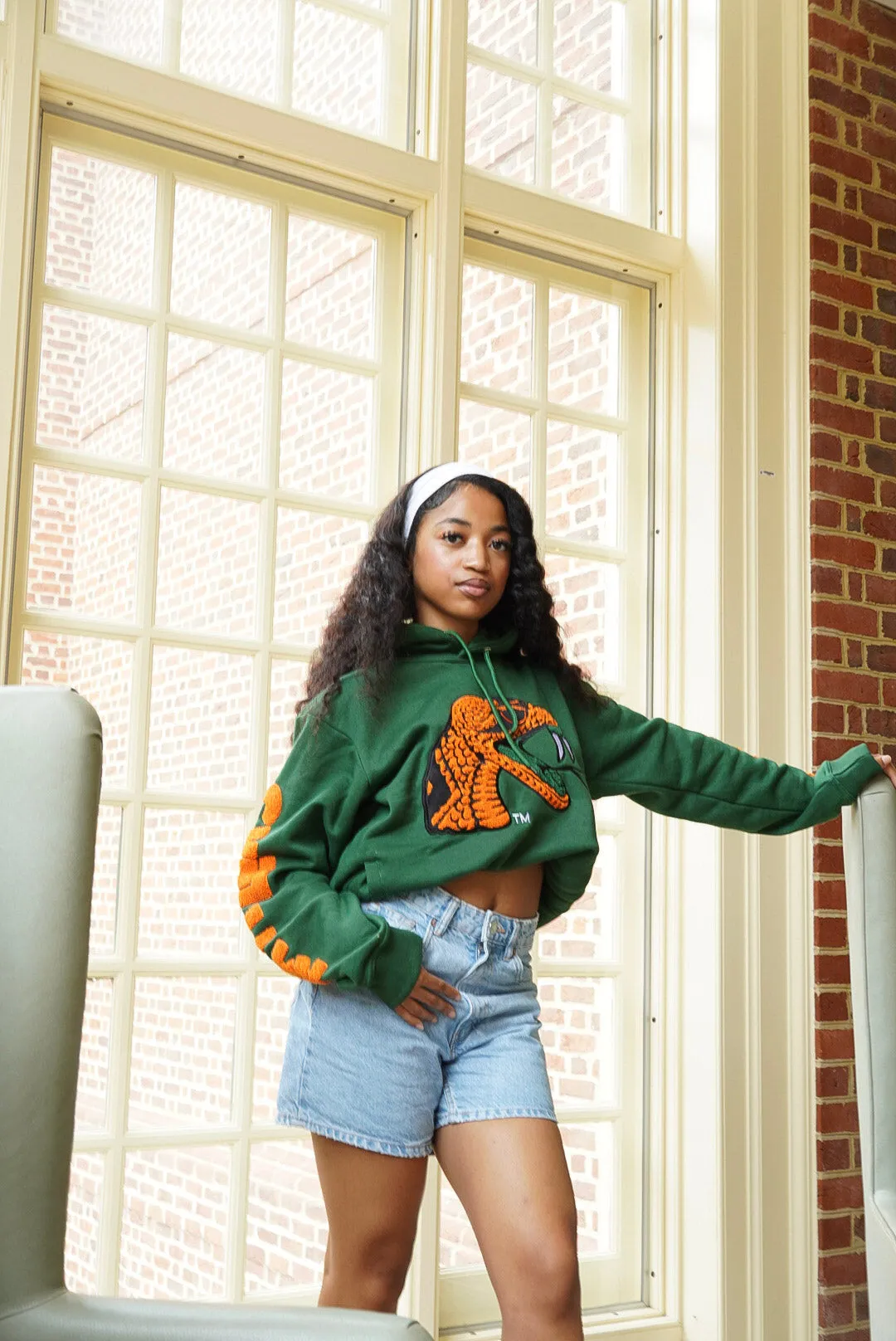 Green FAMU Concert Hoodie