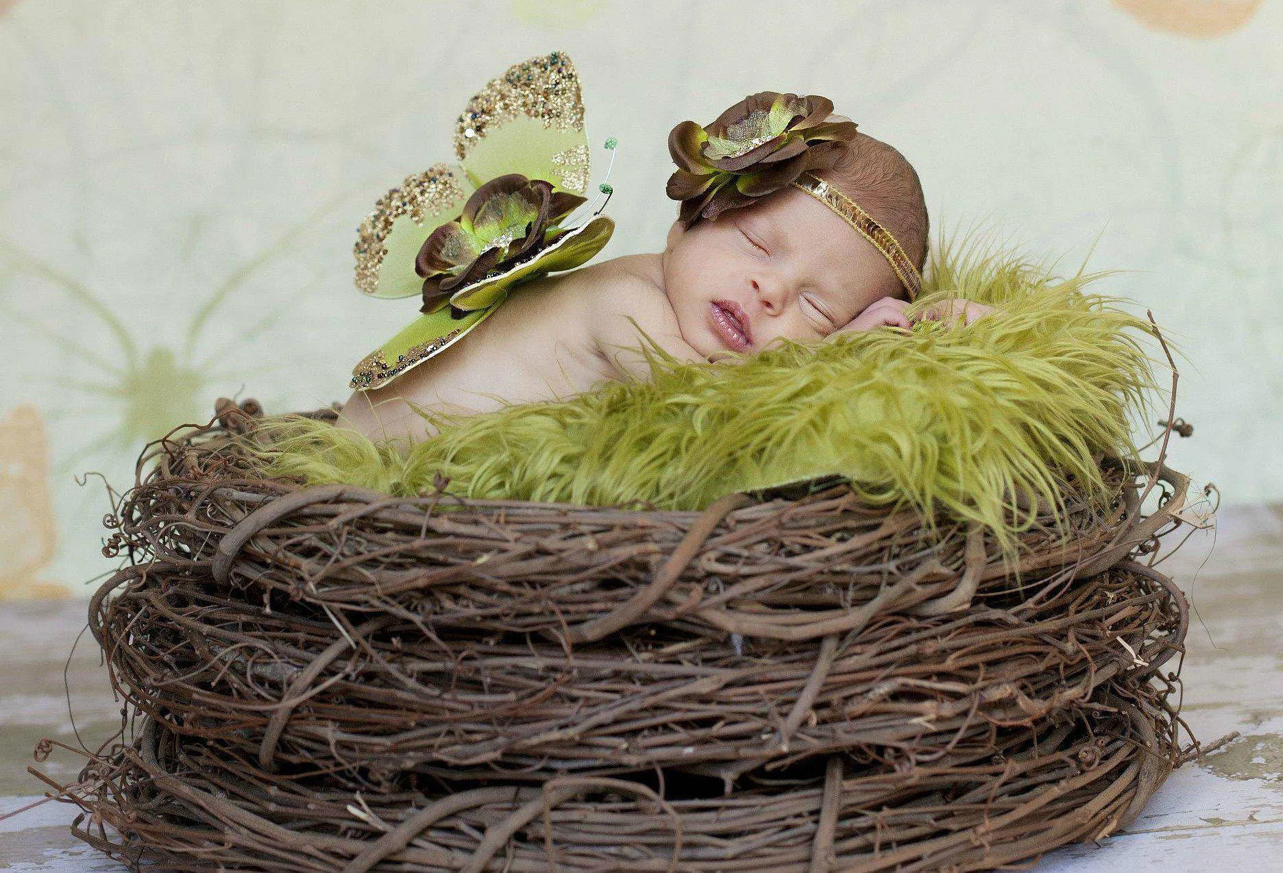 Olive Green Mongolian Faux Fur Photography Prop Rug Newborn Baby