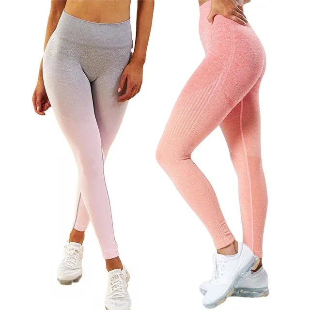 Seamless Leggings